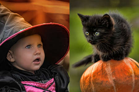 little witch with a black kittenの写真素材