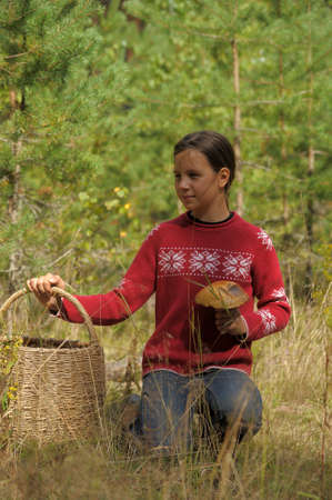 The girl the teenager with a basket and mushroomsの写真素材