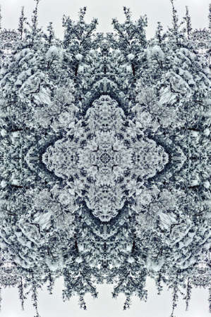 winter decorationの写真素材