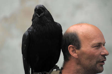 in Vyborg Castle, the annual International Festival of Military History connoisseurs and lovers of the Middle Ages, "Knightのeditorial素材