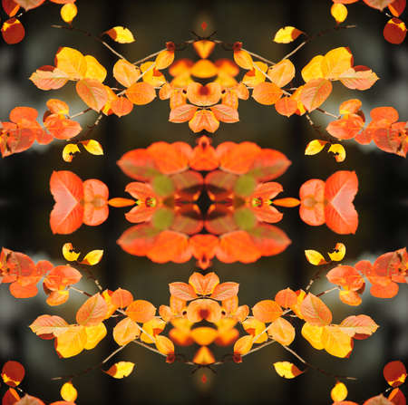 Kaleidoscope in pretty harvest colors of orange, yellow and redの写真素材