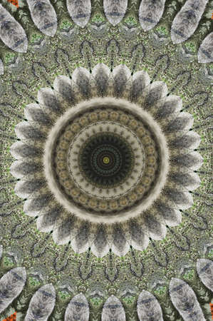 grayish-green circular pattern の写真素材