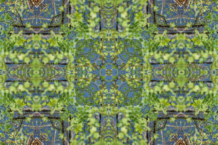 green ornament templateの写真素材