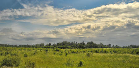 clouds over the field