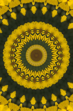 yellow-green circular patternの写真素材