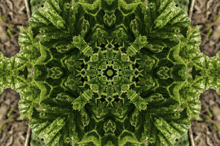 green flora ornament