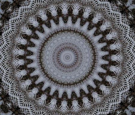 Oriental  decorationの写真素材