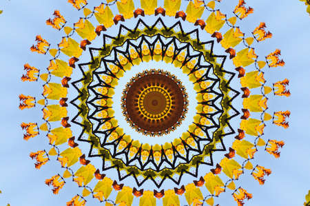 A yellow pattern for meditation