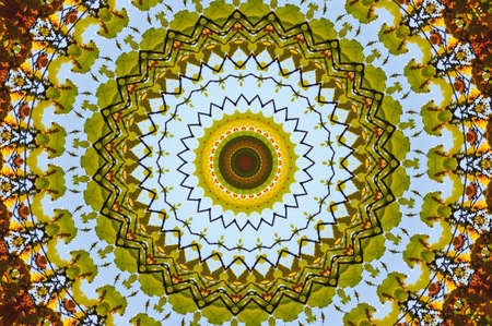 oriental ornamentの写真素材