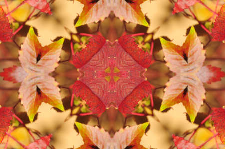 orange oriental ornament の写真素材