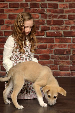 girl with a puppyの写真素材