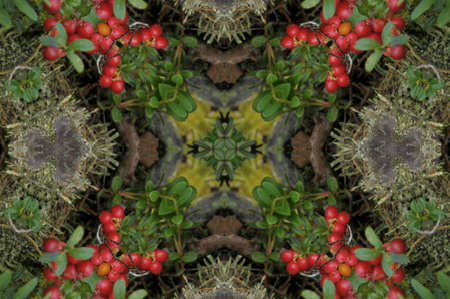 green with red carpet ornament