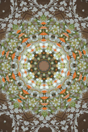 ornament carpetの写真素材