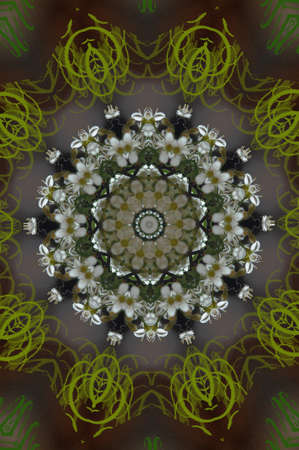 green floral ornamentの写真素材