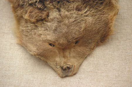 bearskin headの写真素材