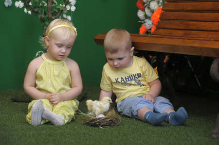boy and girl with chickenの写真素材