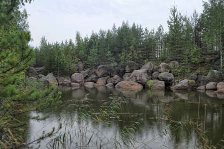 A wilderness view of a forest in Russia.の写真素材