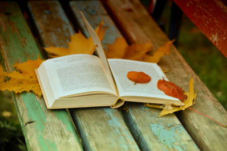 Open book on a bench and autumn leavesの写真素材