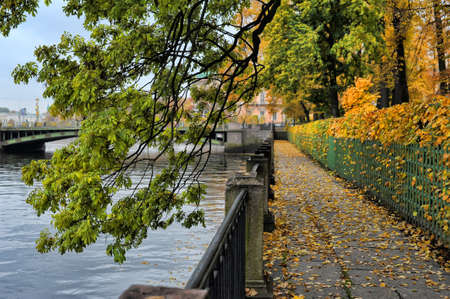 Tree branches with autumn leaves hanging over the Fontanka River, Summer Garden, St  Petersburg, Russia,の写真素材