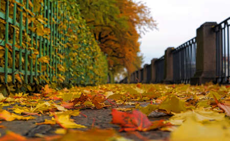 autumn quayの写真素材