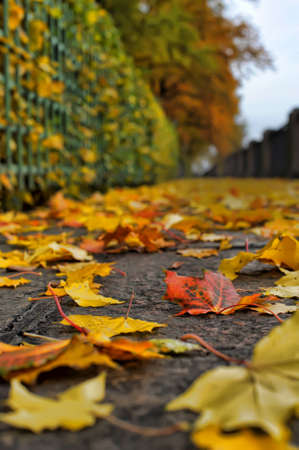 autumn quayの写真素材