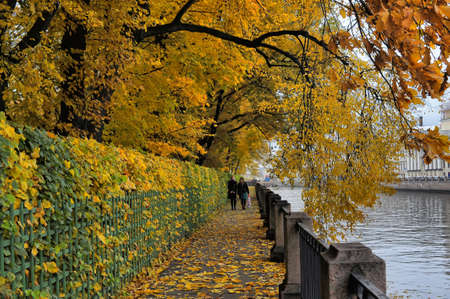Tree branches with autumn leaves hanging over the Fontanka River, Summer Garden, St  Petersburg, Russia,の写真素材