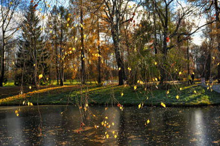 Multicolored autumn trees near river の写真素材