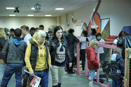 The Way Home - show the distribution of animal shelter Rzhevka, St  Petersburg, Russia のeditorial素材