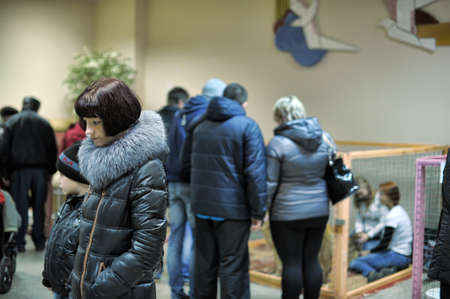 The Way Home - show the distribution of animal shelter Rzhevka, St  Petersburg, Russia 