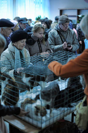 The Way Home - show the distribution of animal shelter Rzhevka, St  Petersburg, Russia のeditorial素材