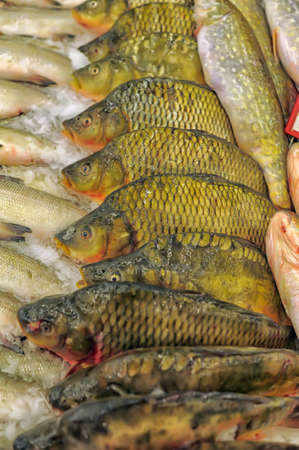 A selection of various fresh fish is being offered at an outdoor market 