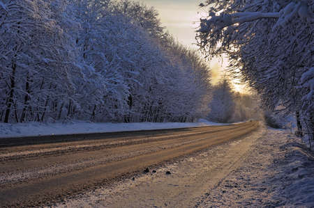 Beautiful winter snowy road through the field in the forest の写真素材