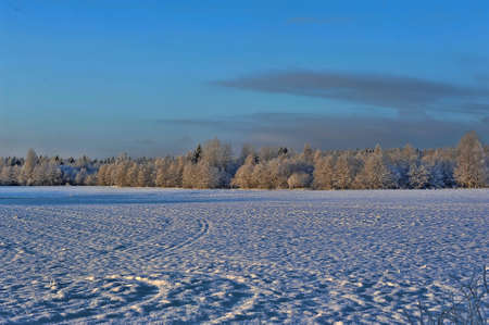Snowy landscapeの写真素材