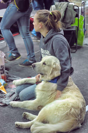 International dog showのeditorial素材