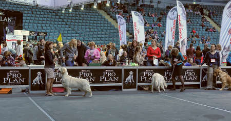 International Dog Show Spring Petersburg - 2014 