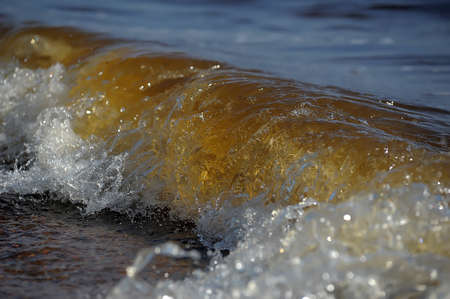 Frothy ocean wave on a sandy beach の写真素材