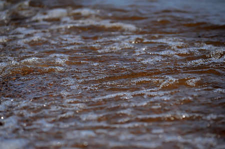Frothy ocean wave on a sandy beach の写真素材