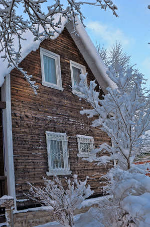 Winter rural scenery. Wooden house and trees covered with snow. Christmas and seasonal specific concept.のeditorial素材