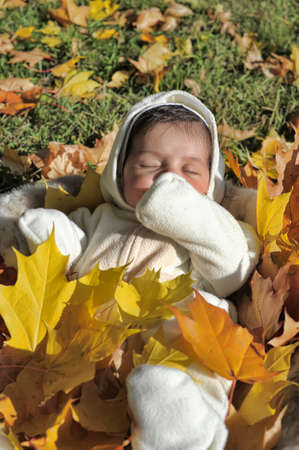 Autumn newborn baby  in yellow leavesの写真素材