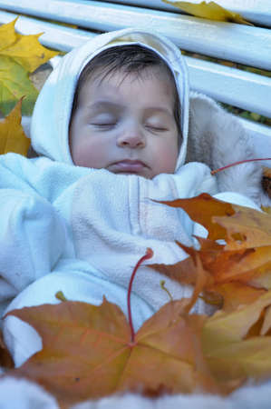 Autumn newborn baby  in yellow leavesの写真素材