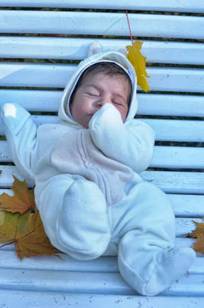 Autumn newborn baby  in yellow leavesの写真素材
