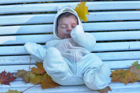 Autumn newborn baby  in yellow leavesの写真素材