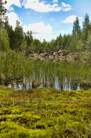 Small lake in the forest, Karelia.の写真素材