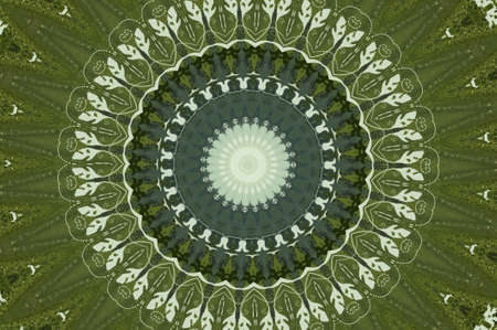 green circular patternの写真素材