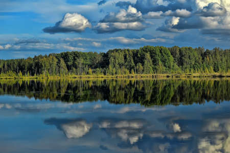 Forest near the water and reflectionの写真素材