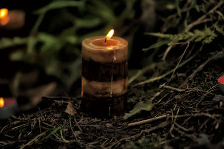Candles in the forest on the ground.の写真素材