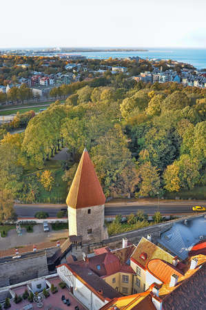 Rooftops of Tallinn, Estonia at the old city.の写真素材