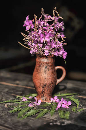 Collected willow-herb flowers in a ceramic jug.の写真素材