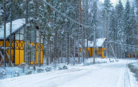 Yellow house with white in the winter forest.