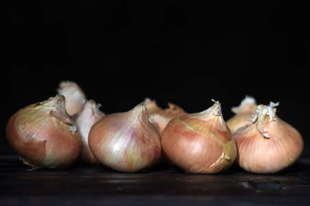 Onion, whole and sliced on a dark background.